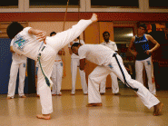 091120_capoeira