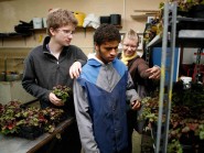 Etabli aujourd’hui à Yverdon et Grandson (photo), Le Repuis existe depuis 1933. Nicolas, Quentin, Alejandra sont actifs à l’atelier d’horticulture. © Muriel Antille