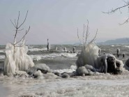 Les rives du lac, complètement glacées en début de semaine, sont elles féériques, toutes de blanc vêtues. © Muriel Antille Les rives du lac, complètement glacées en début de semaine, sont elles féériques, toutes de blanc vêtues. © Muriel Antille