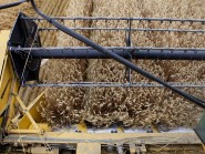 La qualité du blé et des céréales est jugée «bonne», voire «très bonne», par Philippe Gonin, président et directeur du Moulin d’Yverdon. © Muriel Antille -a La qualité du blé et des céréales est jugée «bonne», voire «très bonne», par Philippe Gonin, président et directeur du Moulin d’Yverdon. © Muriel Antille -a