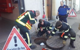 De l’eau a dû être injectée pour pousser le chat vers la sortie. © Muriel Aubert