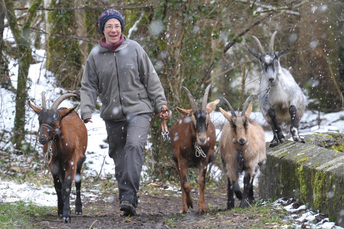 S’évader dans la nature avec des chèvres