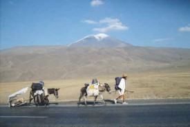 Le singulier cortège passe devant le majestueux mont Ararat. Le chien Willie, blessé, est tracté par Karma. DR