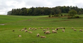 C’est autour du Montélaz que les autorités des villages souhaitent se regrouper. © Michel Duperrex