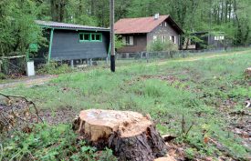 Ces chalets sont destinés à disparaître. La zone sera reboisée... ©Michel Duperrex