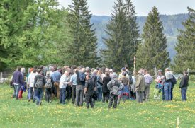 Après s’être baladée dans les alpages nord-vaudois afin de constater l’impact réel sur le paysage, la Cour administrative du Tribunal cantonal a entendu, hier, les arguments des différentes parties. ©Blanchard-a