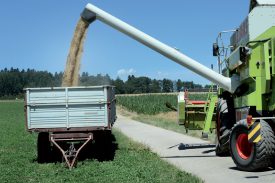 Les paysans suisses se demandent à quelle sauce ils vont être mangés, après le lancement de la politique agricole 2022. ©Duperrex-a