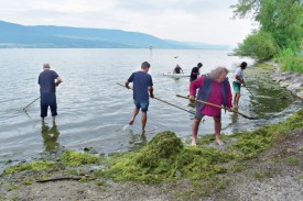 Employé et saisonniers ont uni leurs forces pour nettoyer les bords de plage. ©DR