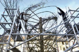 La «Tornade de bois» est, depuis lundi, en cours de réalisation sur la place Pestalozzi. © Michel Duperrex