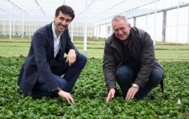 Sylvain Agassis, le directeur de Sylvain & Co (à g.), contrôle la qualité de la récolte de rampon dans les nouvelles serres, en compagnie de Jean-Luc Bruand, directeur du domaine bio de l’entreprise.