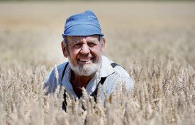Marcel Saugy, 70 ans, prend la pose dans un champ d’orge, à Cuarny. ©Michel Duperrex