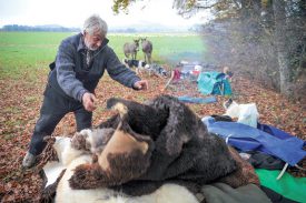 Sur le campement, rien de tel pour se réchauffer que des peaux de moutons. ©Carole Alkabes