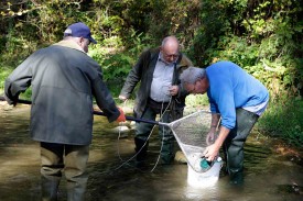 Joël Pasteur, président de la section yverdonnoise des pêcheurs en rivières, (au centre) s'inquiète des truites mortes découvertes dans la Menthue et l'Arnon. © Muriel Antille