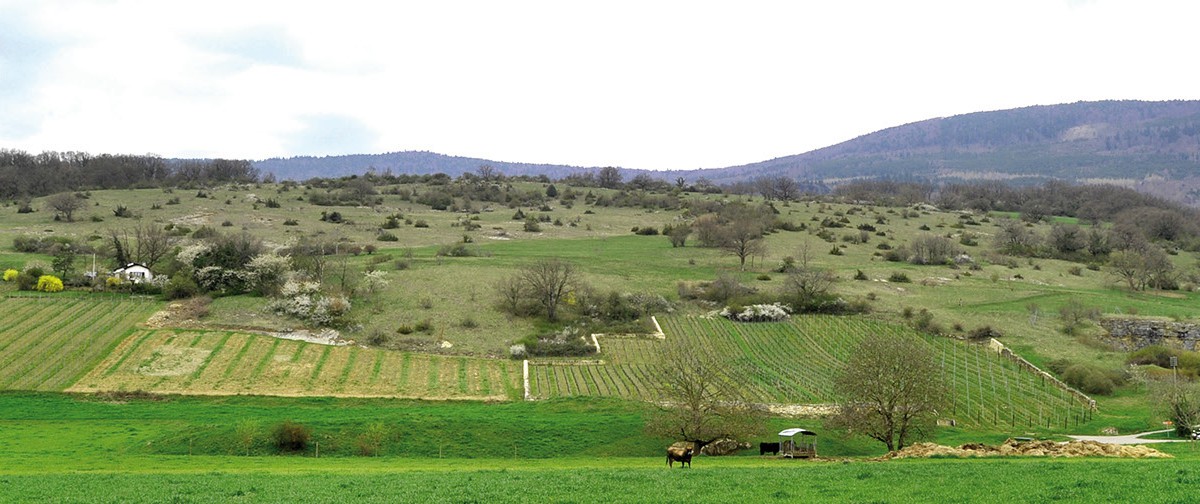 Un condensé de Midi au pied du Jura