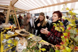 Le succès du Marché aux truffes de Bonvillars ne se dément pas d’années en années. La preuve d’un engouement autour de ce produit de qualité. © Muriel Antille -a