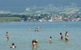 Le bord du lac d’Yverdon-les-Bains a connu un nouvel événement macabre samedi dernier.