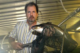 Olivier Mueller et un pangasius d’une année qui pèse déjà entre deux et trois kilos.