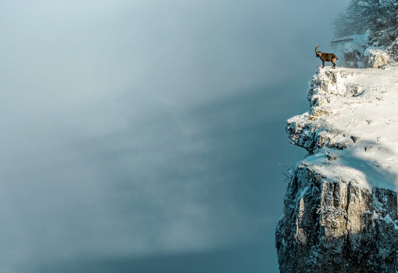 La sauvegarde de la biodiversité au Creux du Van va de pair avec le maintien de son attractivité touristique, d’après les porteurs du projet. ©Swiss Image