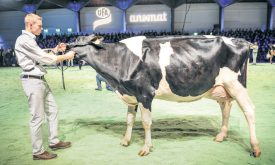 Gilles Challet avec Stim-Lili, qui a terminé quinzième de sa catégorie. ©Carole Alkabes