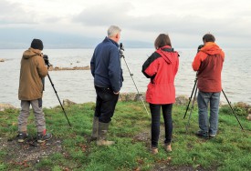 Il fallait se lever tôt pour observer les oiseaux d’eau du lac. ©Carole Alkabes