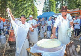 Les spécialistes de la laiterie Tyrode, de L’Auberson, moulent ensuite la masse pour commencer à lui donner la forme de la future meule. ©Carole Alkabes