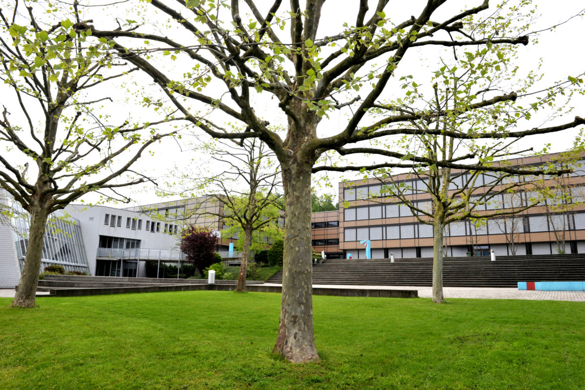 Gymnases du canton évalués: Yverdon en queue de peloton?