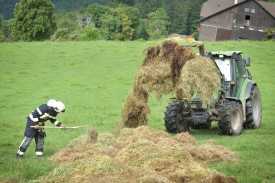 Le fourrage a été étendu et trié dans le pré. © Carole Alkabes