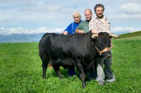 Jean-Jacques Blanchard, Thierry Jaquier et Christian Gonin (de g. à d.) font partie de l’Amicale de la vache d’Hérens du Nord vaudois. © Michel Duperrex