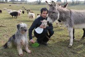 Gayak près du Centre sportif de Valeyres-sous-Montagny, dans son univers pastoral composé des moutons, des ânes Pagnol et Larzac, et de Steve Jaunin, qui tient, dans sa main gauche, la plaque attestant de l’exploit de son protégé. © Michel Duperrex