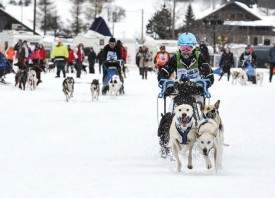 Chaud devant! La Bernoise de Mamishaus Barbara Wirz a terminé deuxième de la catégorie sprint 4 chiens avec ses alaskans supersoniques! © Bobby C. Alkabes