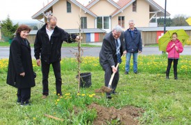 Jean-Louis Ducret plante un chêne, entouré de Sylvia Flückiger, présidente de Lignum Suisse, de Philippe Nicollier, de Lignum Vaud, de Gérard Perrier, municipal des forêts, et de sa petite-fille Elodie. © Roger Juillerat