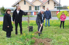 Jean-Louis Ducret plante un chêne, entouré de Sylvia Flückiger, présidente de Lignum Suisse, de Philippe Nicollier, de Lignum Vaud, de Gérard Perrier, municipal des forêts, et de sa petite-fille Elodie. © Roger Juillerat