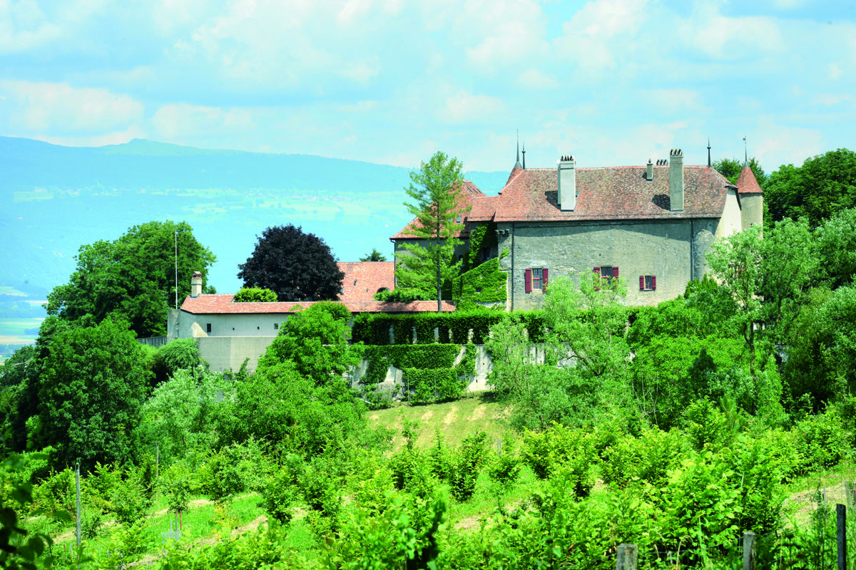 La vie de château pour 18 millions de francs