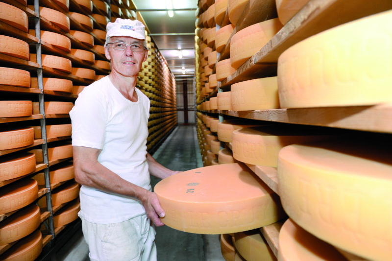 Le fromager de Penthéréaz, Gilbert Golay, fabrique 19 meules de Gruyère par jour. © Michel Duperrex