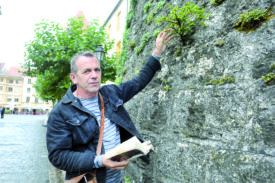 Pas besoin d’aller dans la forêt pour observer la flore vaudoise. Sur les murs du château médiéval de la ville, Christian Clerc a notamment pu identifier la présence d’un if, qui a poussé sur la tour sud-ouest de l’édifice.© Michel Duperrex