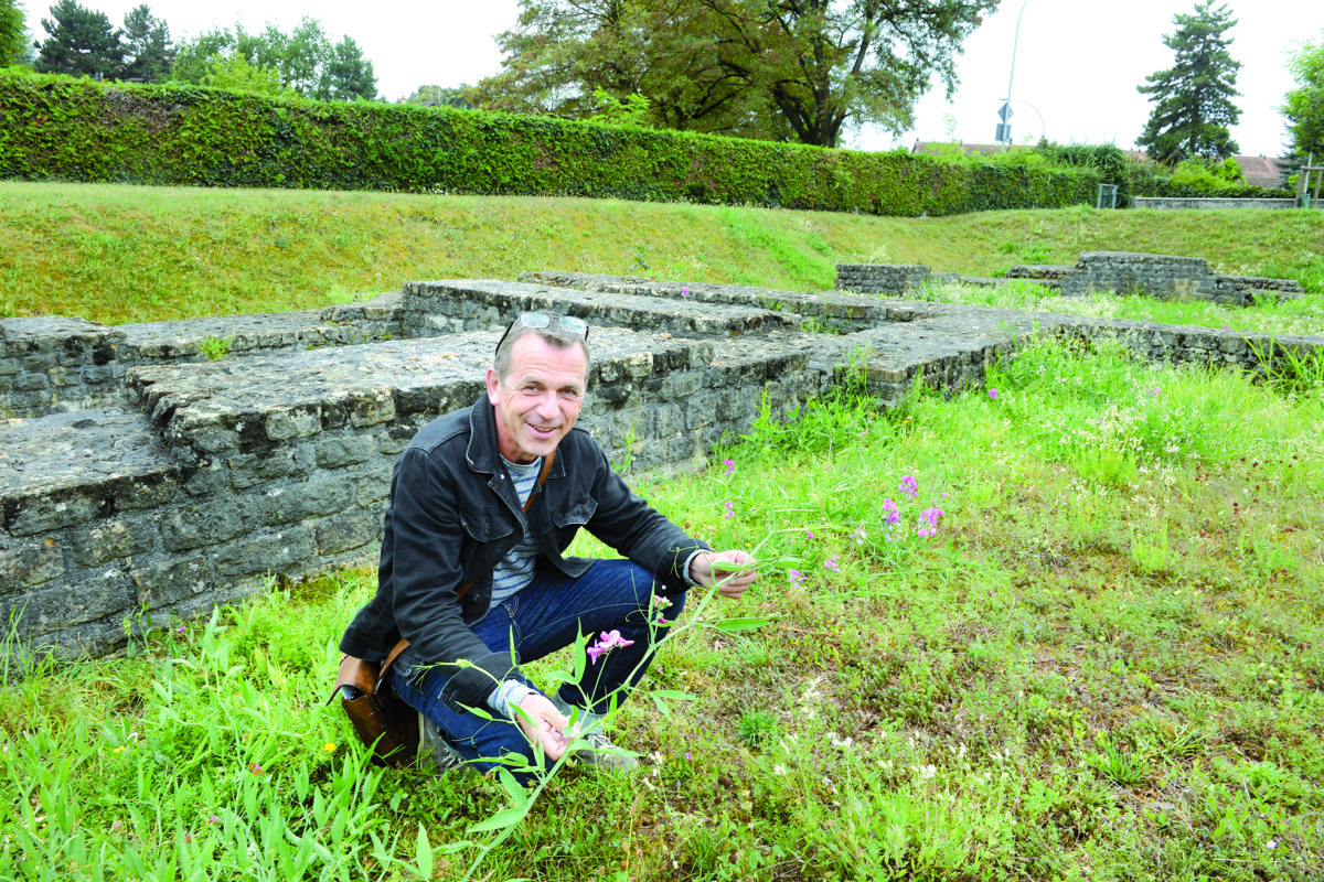 La flore se révèle au détour du château