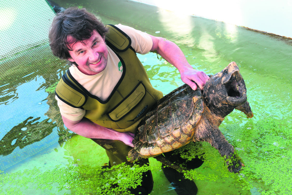 L’ange gardien des tortues a fait mouche