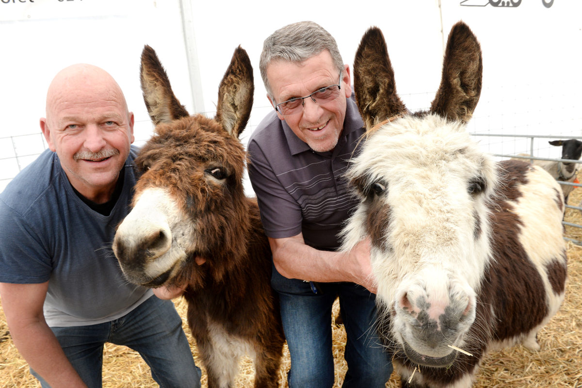 Aux petits soins pour leurs animaux