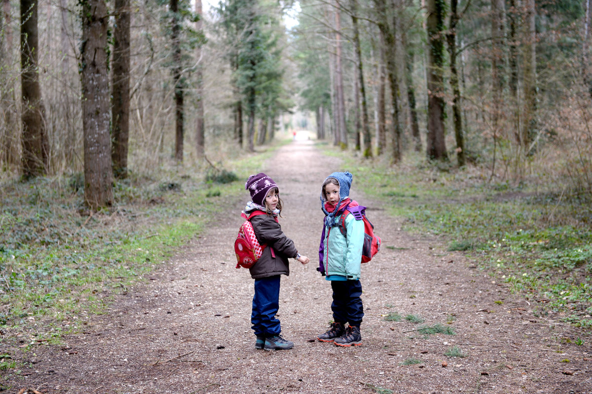 Quand la forêt se transforme en salle de classe
