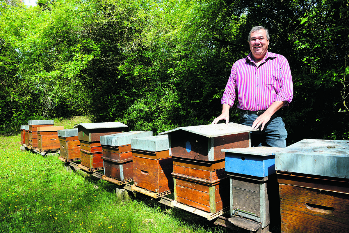 L’ancien syndic de Bavois dorlote ses abeilles