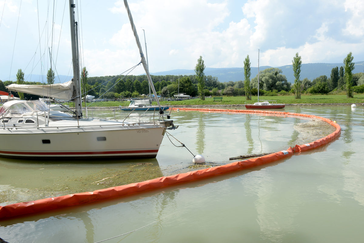 Au secours de la Thièle