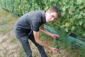 Ludovic Longchamp montre les restes d’un merle, vraisemblablement dévoré par un prédateur après s’être empêtré dans le filet. © Ludovic Pillonel