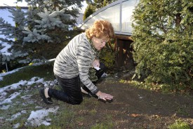 Samy, le chien de Madame Vonlaufen, décédé dans l’incendie, repose désormais dans le jardin. Un lieu de recueil pour celle qui l’a adopté il y a plus de cinq ans.