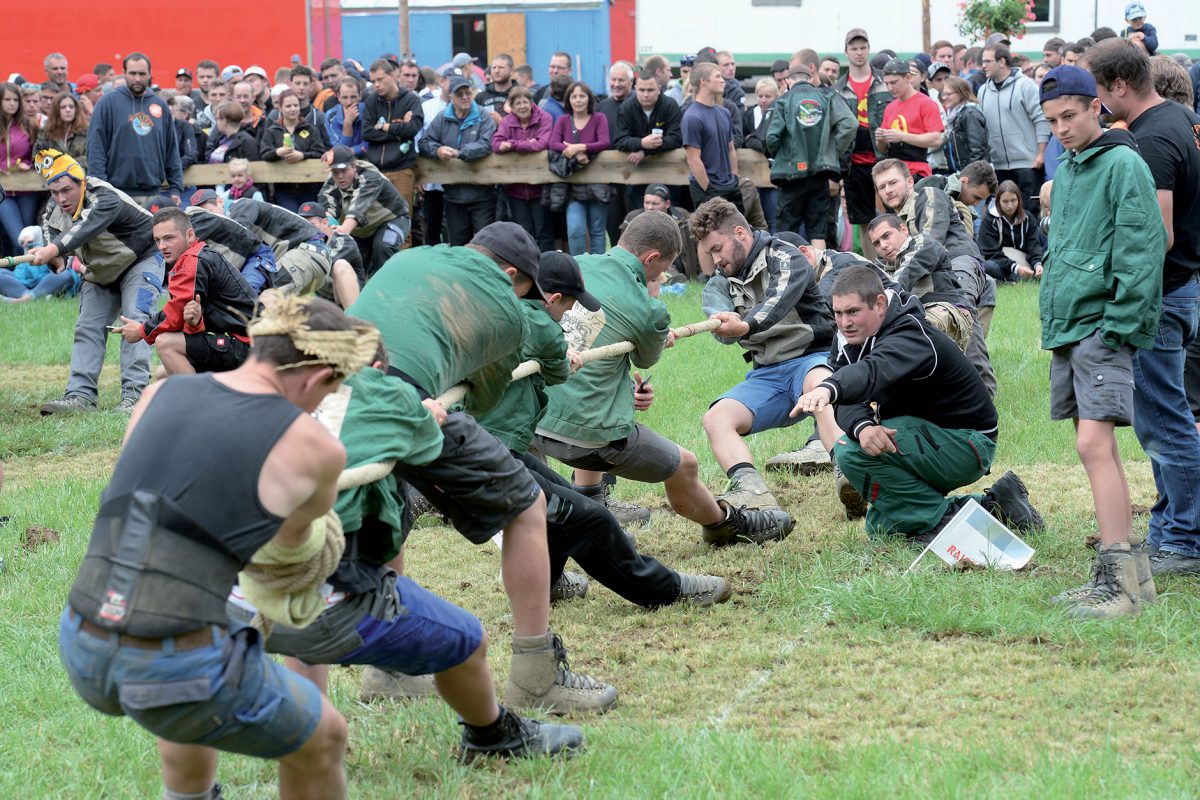 Cinq jours de fête et de compétitions à la ferme