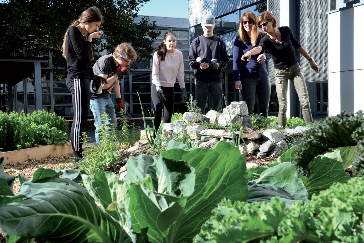 La permaculture s’invite à l’école