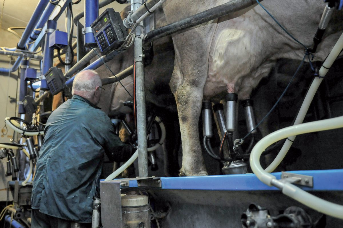 Prolait cède son marché de l’«or blanc»