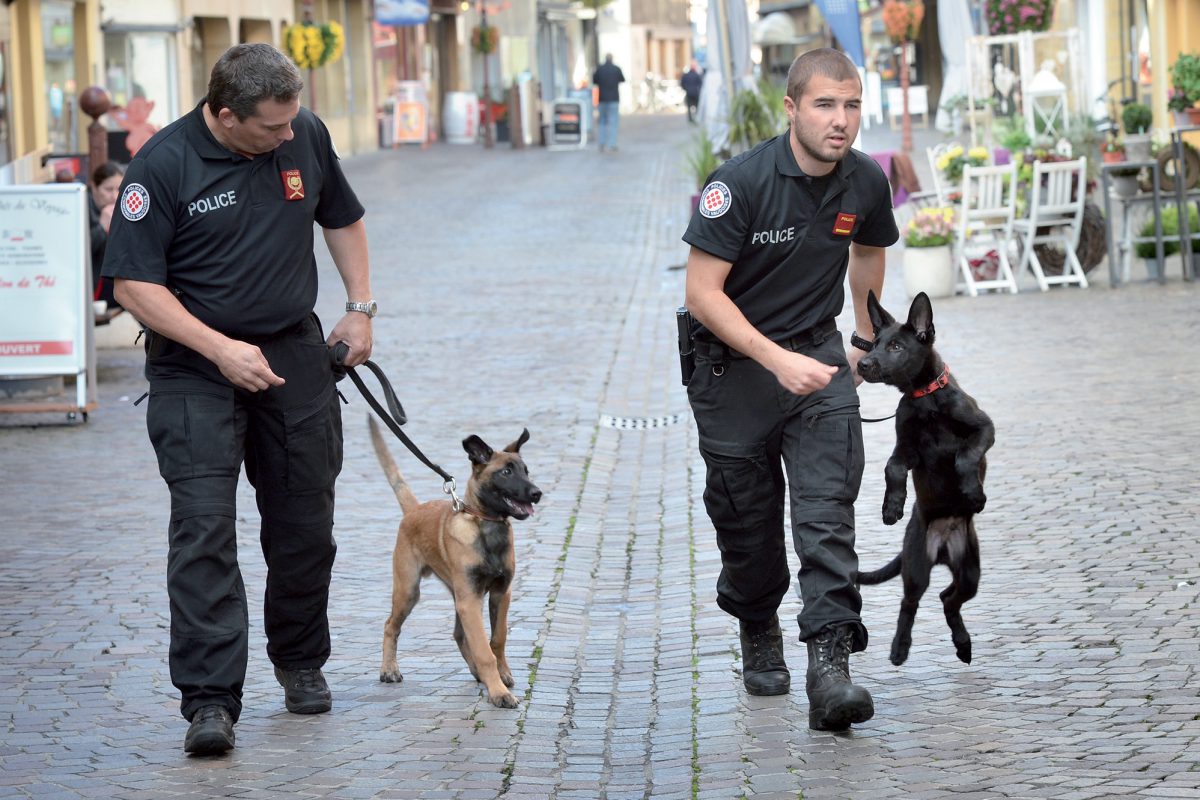 Deux toutous chouchoutés par la police