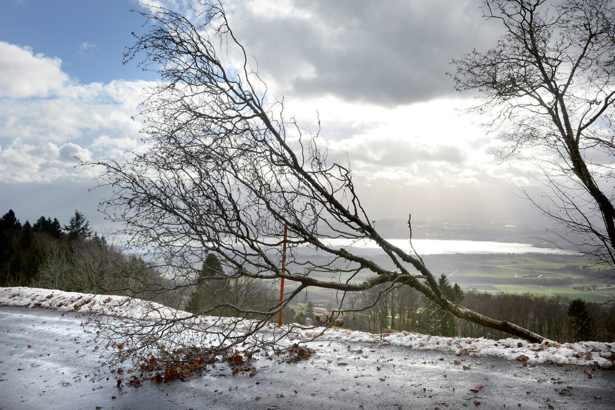 La région balayée dès le début de l’année