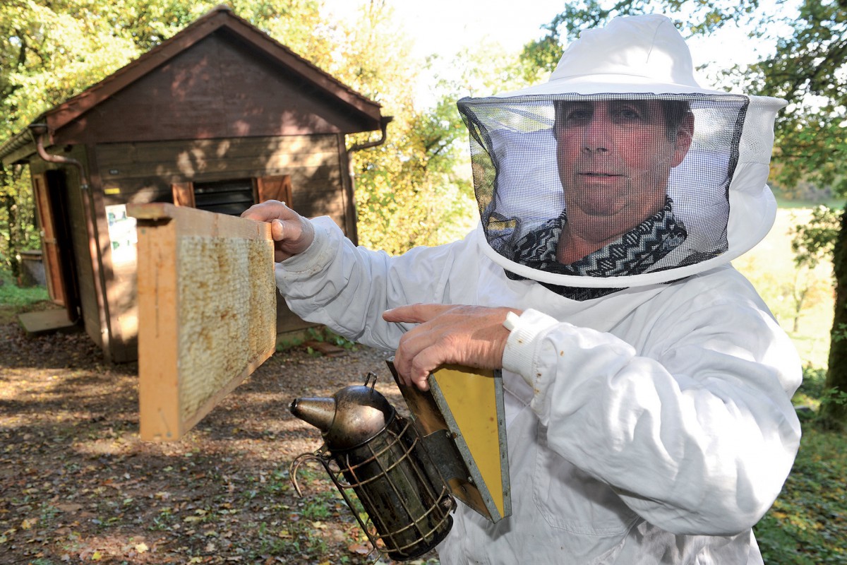 Une formation pour l’apiculture bio