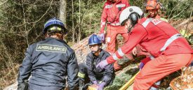 Quels sont les gestes à adopter, en cas d’accident forestier ? ©Pierre Blanchard